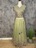 Light green tissue lehanga set