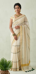 Green and gold line 120 mulcotton saree
