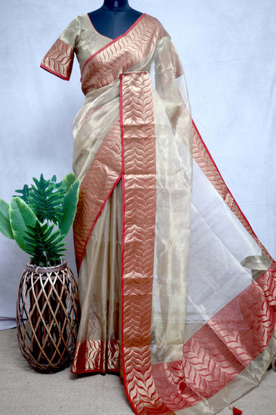 Handloom Pure tissue chanderi saree with red border