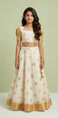 Onam skirt and crop top