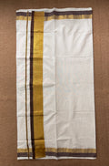 Brown and gold border set saree