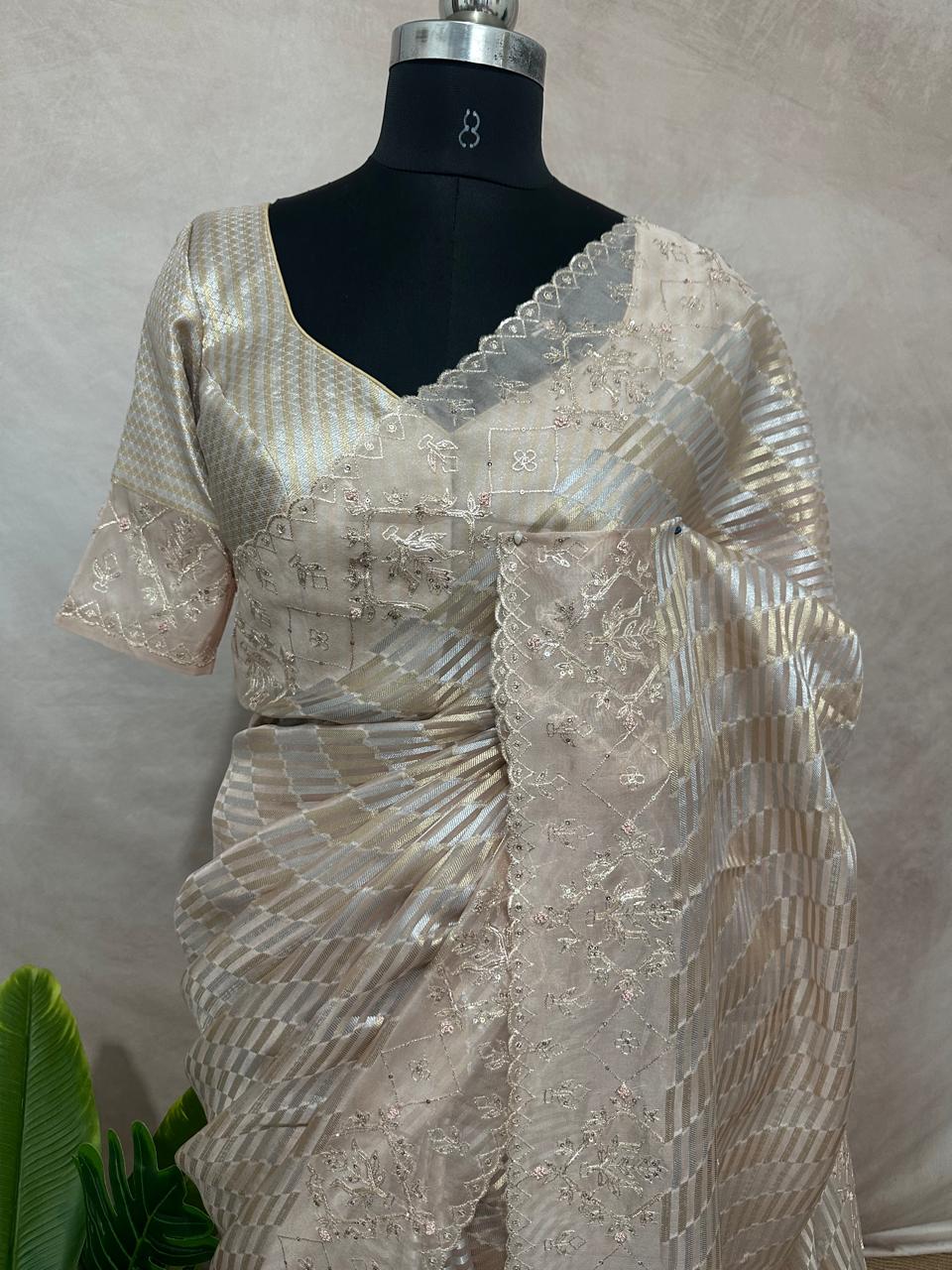 Tissue organza designer saree with hand emroidered border and pallu, with blouse