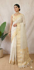 Silk organza saree with embroidery, with BP