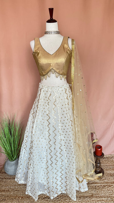 Chanderi skirt with blouse and dupatta