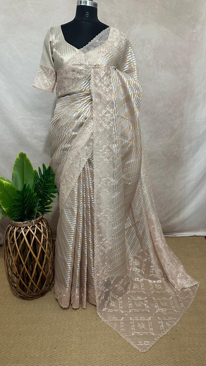 Tissue organza designer saree with hand emroidered border and pallu, with blouse