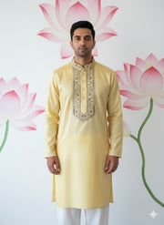 Light Yellow kurta with emroidery