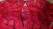 Red net full sleeve blouse