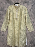 Light mint green silk kurti with gold embroidery