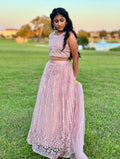 Lilac lehanga set with emroidery on neck