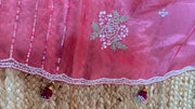 Watermenlon pink georgette organza saree with sequins work, with BP