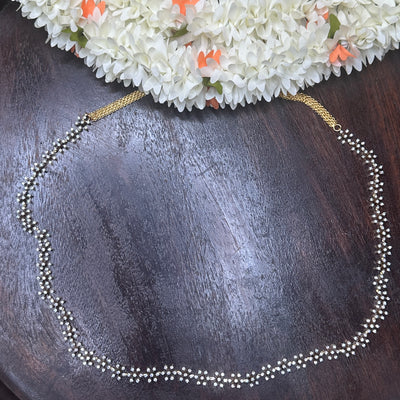 AD Saree hip chain