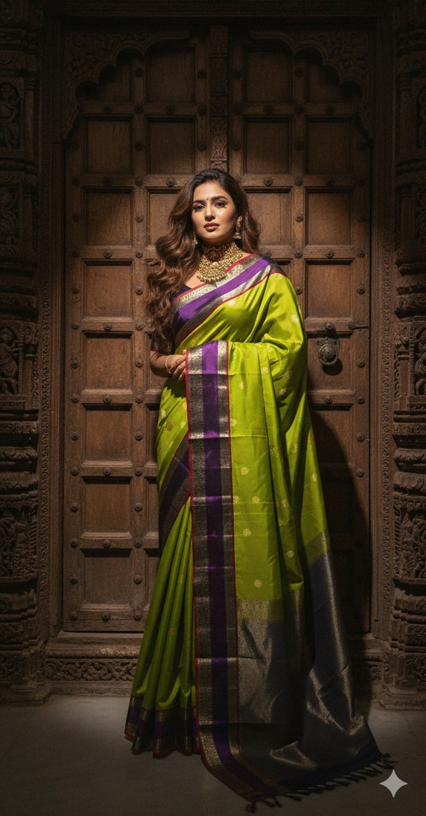 Light green and Blue Kanchivaram saree with stitched blouse