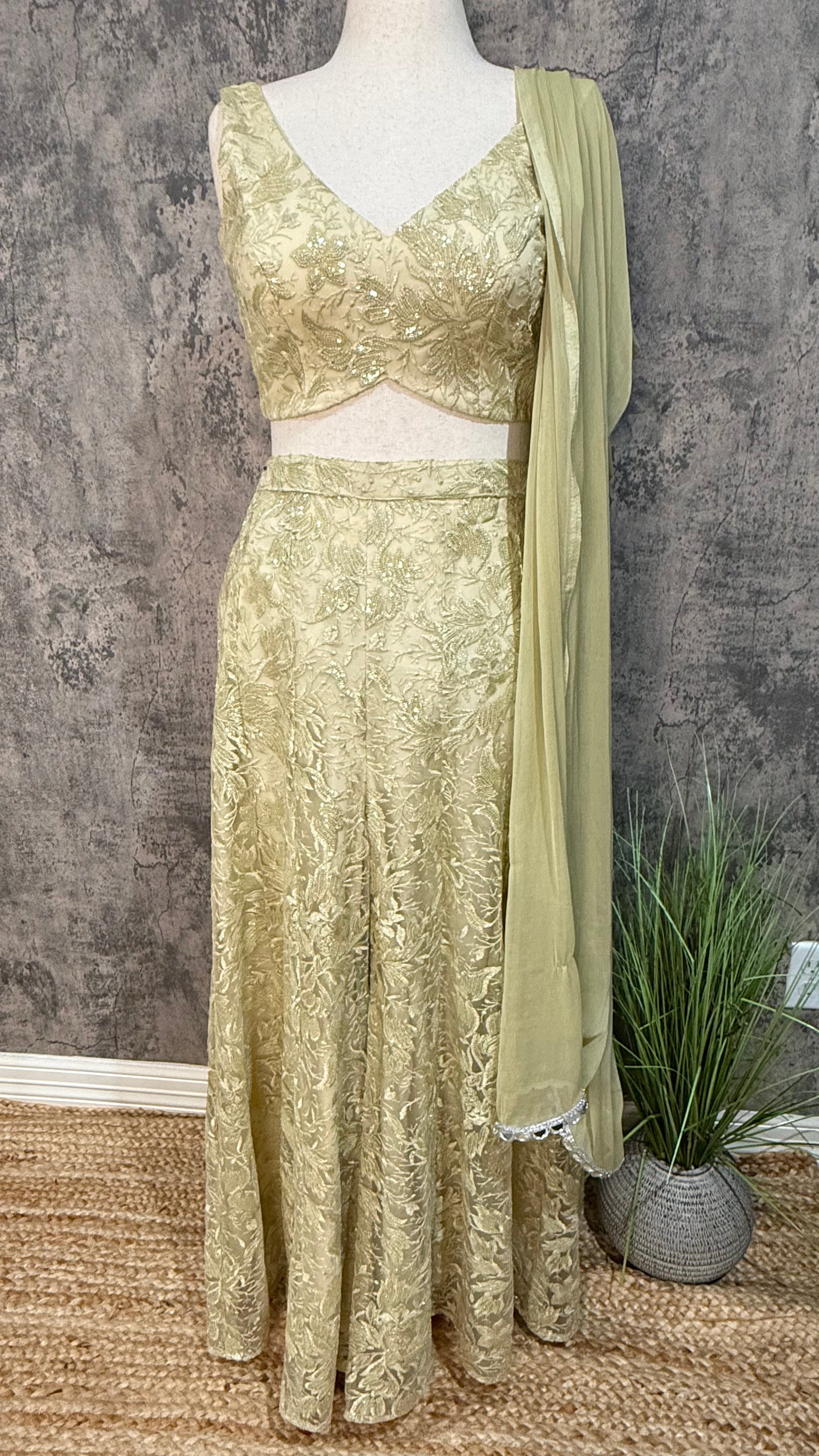 Lace Palzzo and crop top