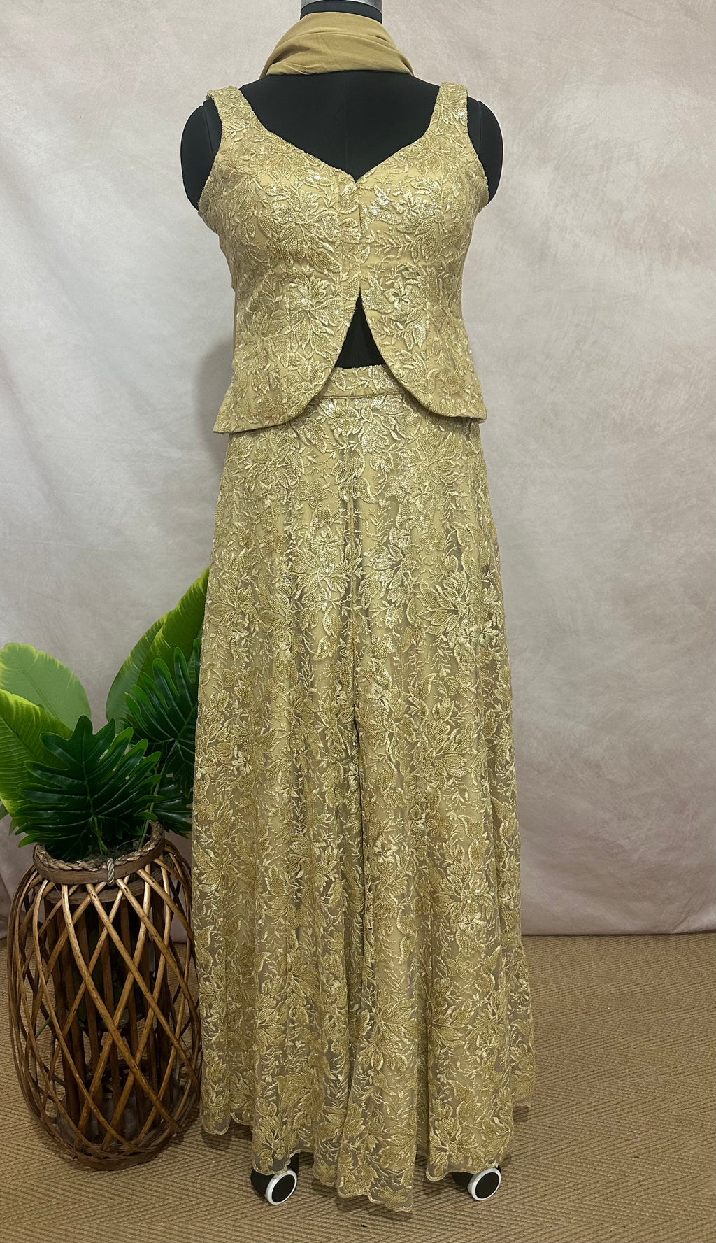 Net Palazzo pant and crop top