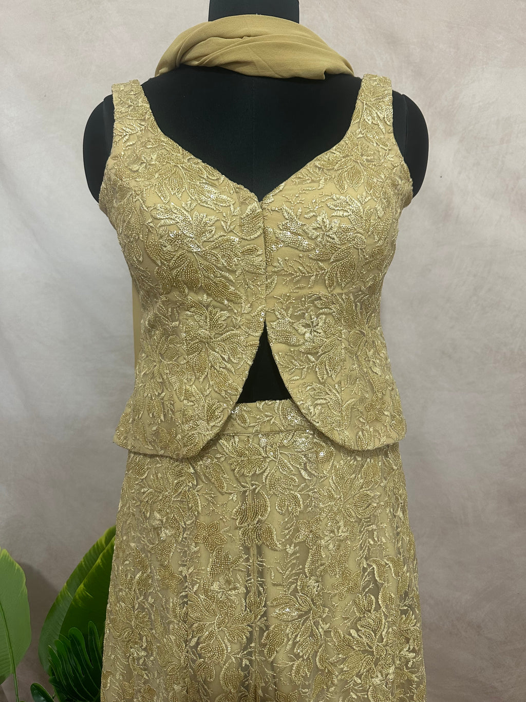 Net Palazzo pant and crop top