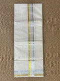 Silver and gold border mundu