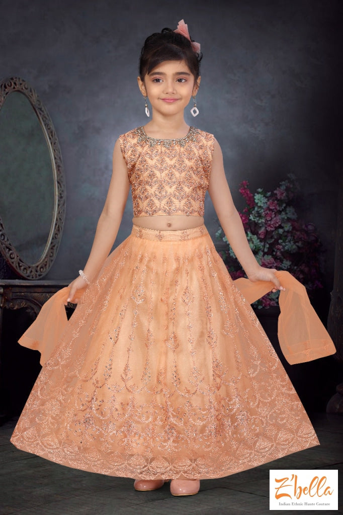 Peach Net Skirt And Top - 1 2 Yr Girl Kids Set