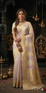 Organza silk saree with stiched blouse