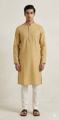 Sandalwood color soft cotton fabric kurta - 40