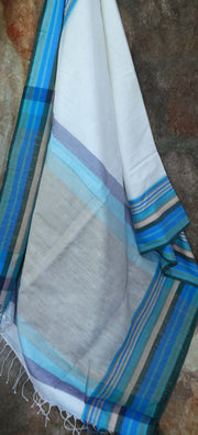 Offwhite cotton saree, with sleeveless designer blouse with embroidery.